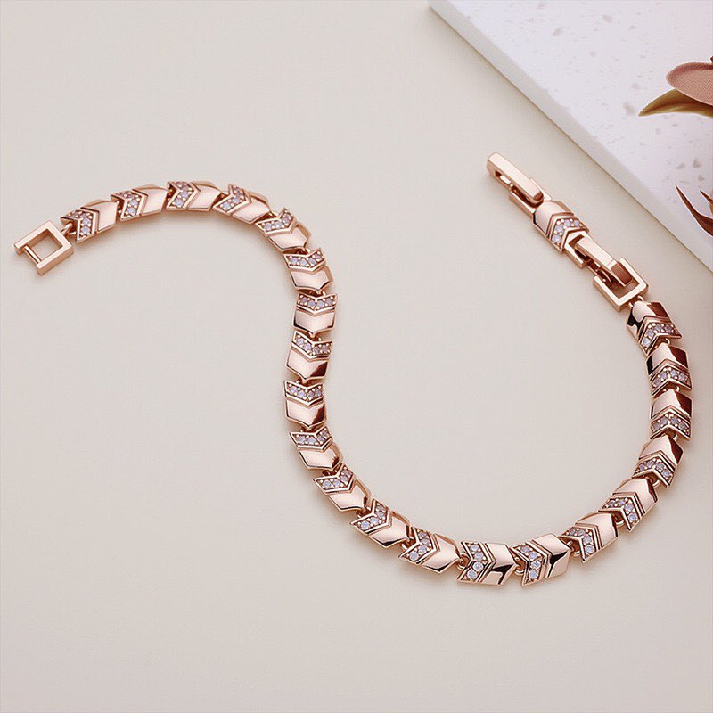 MxGxFam (17cm/19cm x 6 mm) Bra – Xcm Chain recenzja i cena